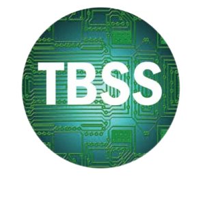 BestSolution-removebg-preview